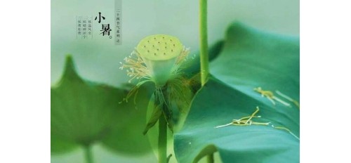 廣杰GOJEK：小暑| 炎炎夏日廣杰環(huán)保煙罩一體機助餐飲廚房擁有新鮮空氣！